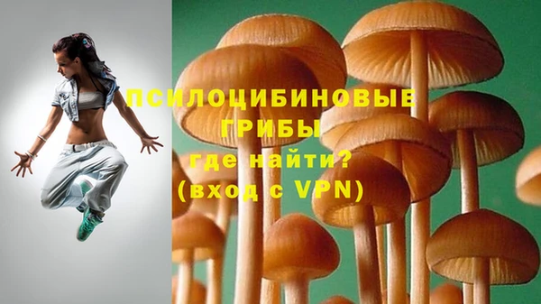 кокс Армянск